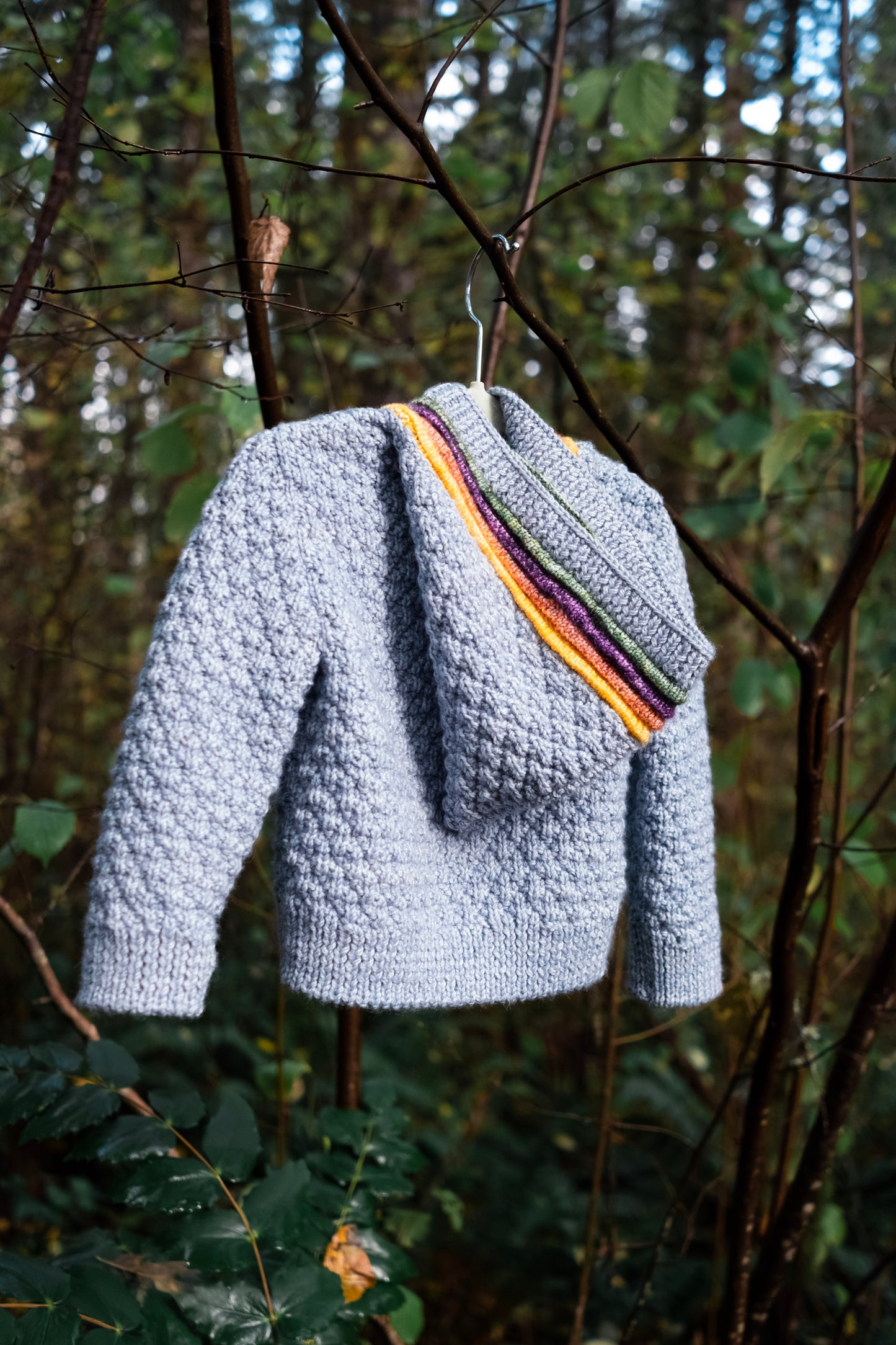 Seen from behind, a moss stitch kid's sweater hangs on a branch. It's made with blue yarn and orange, yellow, purple, and green plackets around the button band and up the hood.
