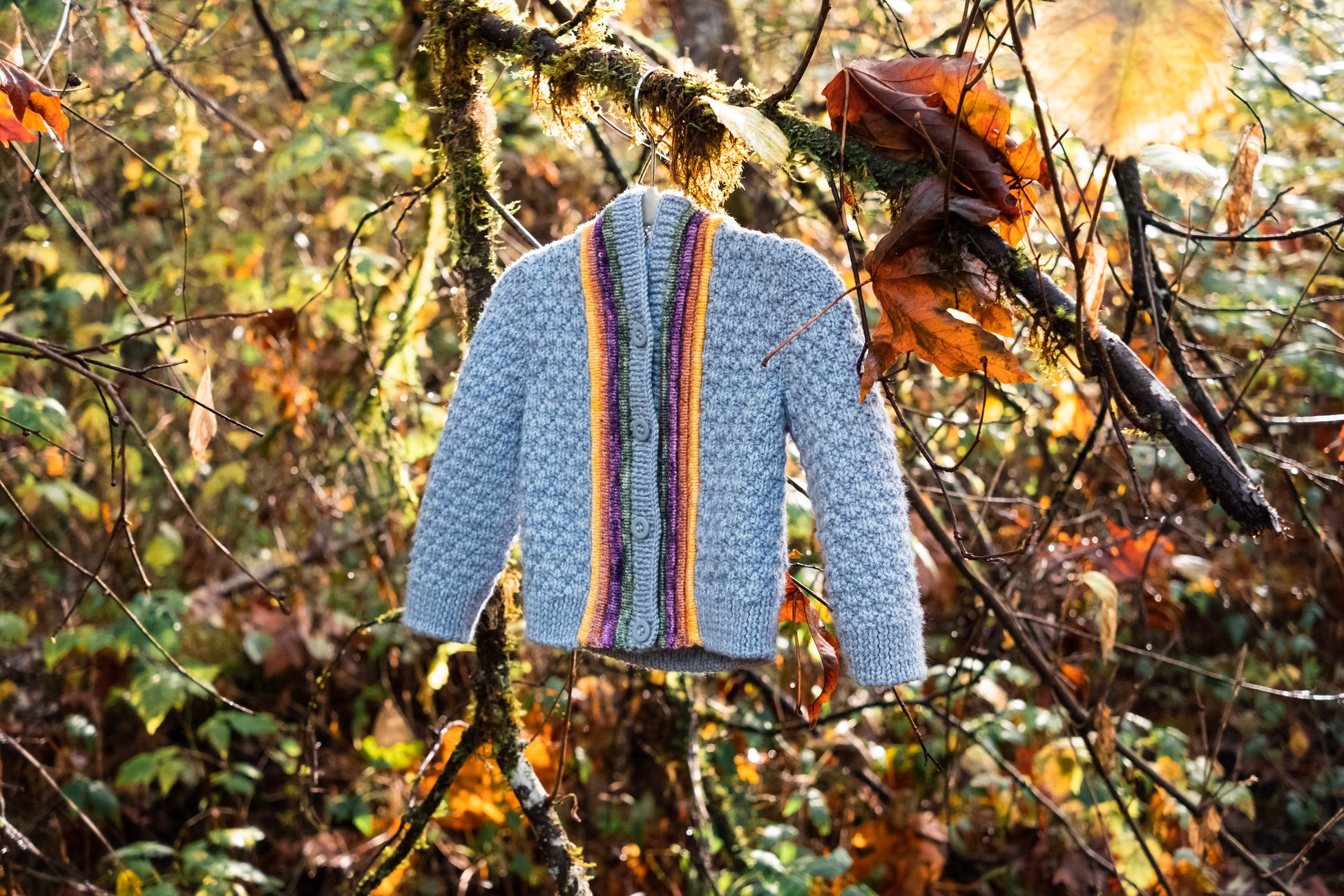 A light blue version of the Letters to Camp sweater hangs on a branch. It has four buttons, and orange, purple, yellow, and green plackets neck to the button band.