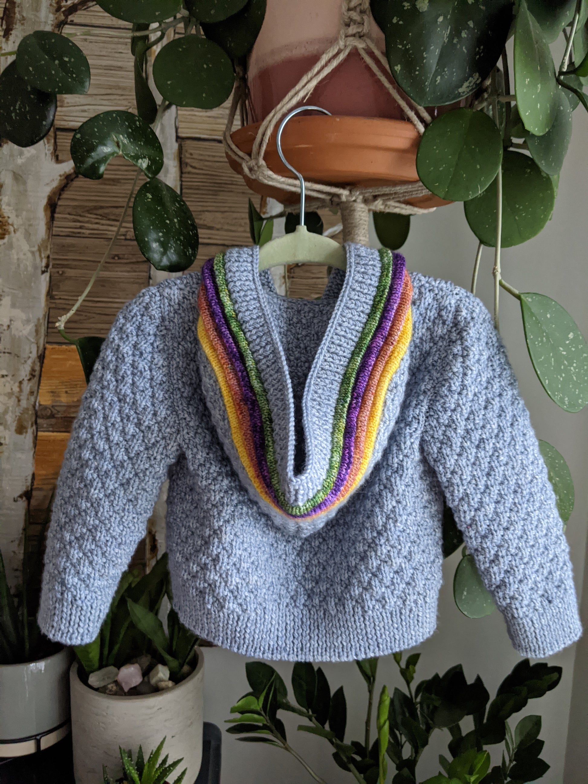 Seen from behind, a moss stitch kid's sweater hangs from the bottom of a hanging plant. It's made with blue yarn and orange, yellow, purple, and green plackets around the button band and up the hood.