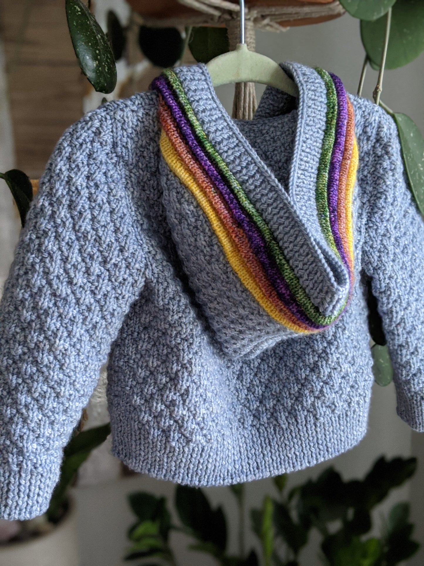 Seen close up and from behind, a moss stitch kid's sweater hangs from the bottom of a hanging plant. It's made with blue yarn and orange, yellow, purple, and green plackets around the button band and up the hood.